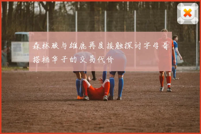 森林狼与雄鹿再度接触探讨字母哥搭档华子的交易代价